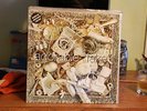 ADORABLE 'FAKE' LP 12