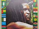 LP / DELROY WILLIAMS / I STAND BLACK