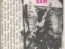 Diodes, Curse, Raw/War single, picture sleeve, KBD, rare 1977 punk