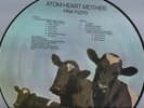 MINT PINK FLOYD-