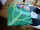 CATAPILLA CHANGES IN 1971 VERTIGO SWIRL MONSTER LP