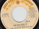 Voices Of East Harlem  Wanted Dead Or Alive - Modern Soul Funk Dancer 70's 45 7
