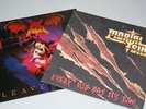 2 vinyl , mortal sin-every dog has it's day und dark angel - leave scars