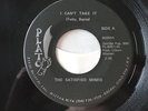 THE SATISFIED MINDS PLATO '45 W/SLEEVE I CAN'T TAKE IT RARE GARAGE FUZZ MOD 1968