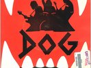 ? DOG - Why // rare South African Punk Rock 1981 // pre- DOG DETACHMENT ?