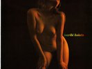 GOLDEN SOUNDS / ISARIBI KOIUTA JAPAN SEXY NUDE COVER LP