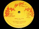 Killer  The Mighty Diamonds - Pray To Thee / 12