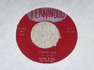 alvin & bill - typing jive/ how long, fernwood records 45-124 RARE 45 invictors