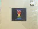  - Wisdom - Face to Face - Independent Christian Prog in Shrink 