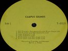 CAMPUS SOUNDS rare 1971 Private Canadian folk psych SSW lp LISTEN