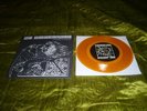 No Tolerance 7