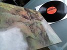 John Mayall   - Blues From Laurel Canyon -  TOP ZUSTAND