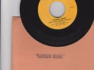 Jimi Hendrix - 45 - Rainbow Bridge - Movie - Promo - Radio Spots