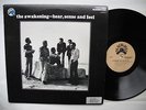 THE AWAKENING Hear, Sense And Feel LP 1972