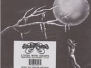 Smoke Fairies Living With Ghosts 7