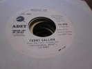 8G  M- Terry Callier ordinary joe Cadet 5692 45 rpm PROMO side 2 golden ci