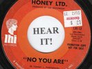 60's GIRL GROUP 45 Honey Ltd. (LHI PROMO # 12) Silver Threads and Golden Needles