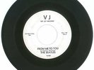RARE 45 RPM, The Beatles, Vee Jay Records # 581, White Label, Please Please Me
