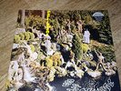 PARLIAMENT Osmium (George Clinton vinyl LP rare)