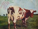 PINK FLOYD PICTURE COVER /PAUL McCARTNEY  THAI EP 7