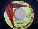 60s NEW MEXICO GARAGE--MORFOMEN--WE TRIED, TRY IT--NELRIC 301