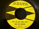 1966 NEW MEXICO GARAGE--ERA OF SOUND--GIRL IN THE MINI SKIRT--DELTA 2255