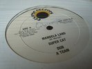 Super Cat Mandela Land Rare Killer Digi 12