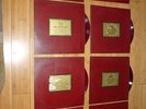 8 RARE 1950's Concert Hall Limited Recordings Red Vinyl LP