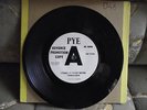Working Man/I Take it that we're through by The Riot Squad 45 RPM DEMO