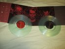 Pig Destroyer Terrifyer 12