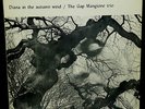 GAP MANGIONE Diana in the Autumn Wind   spiritual jazz   GRC 32584 
