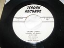 TED RUSSELL & HIS RHYTHM ROCKERS 45(TEROCK 1000)BRIGHT LIGHTS//100-200 VALUE