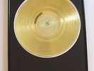 Blank Gold Plated LP Album Record Disc Vinyl Award Trophy to Custom RIAA Quality