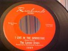 The Lemon Drops - GARAGE ROCK - I Live In The Springtime - Rembrandt 5009