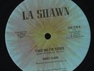 MARY CLARK Take Me I'm Yours RARE DISCO/SOUL/FUNK 12
