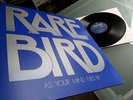 Rare Bird   - As Your Mind Flies By -  TOP ZUSTAND