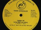 TERRI GONZALEZ Caught Up In One Night Love Affairs DISCO 12