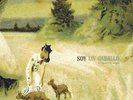 Bonnie Prince Billy Soy Un Caballo Vinyl LP Record/MP3s/non cd song will oldham