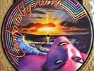 RARE PICTURE DISC 12
