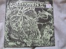 ABHORRENCE-s/t 7