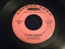 THE OUTCASTS pusher's paradise LAUREL rare original GARAGE 45 listen
