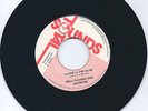 Well Pleased & Satisfied Living in the Slum/Dub Rare Roots/Reggae Ja. 1975 MINT-