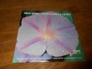 Don Randi and Quest New Baby jazz LP on Sheffield Lab