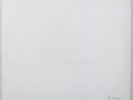 THE BEATLES WHITE ALBUM. MONO. ORIGINAL PRESSING NO 030455  COMPLETE INSERTS LP