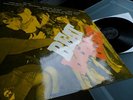 The Rollicks/ The Rollers       - Beat -    MINT