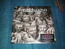 Original 2LP - Limp Bizkit/new old songs - Vinyl
