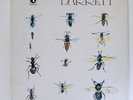 SYD BARRETT Pink Floyd LP Barrett 1970 Harvest uk press psychedelic