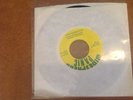 Widespread Panic Coconut Image Monkey vinyl 7