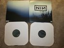 VERY RARE WITH TEETH USA DOUBLE 2X12