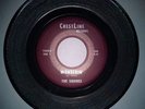 RARE GARAGE 45 - THE SQUIRES - WONDERIN' / PIECES VG+
